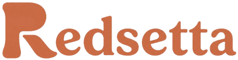 Redsetta timesheet and project-cost software